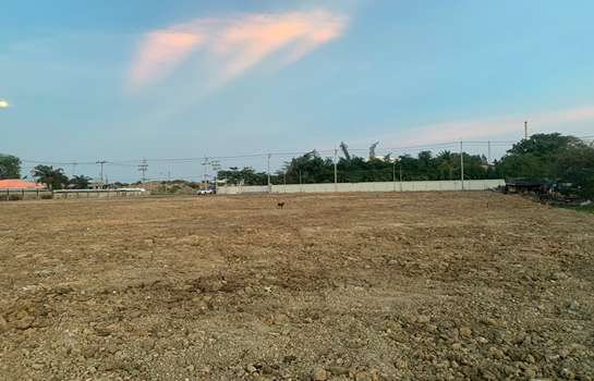 รูป ให้เช่าที่ดิน หรือขาย  ถนนท้ายบ้าน จังหวัด สมุทรปราการ (ขนาดพื้นที่ 5ไร่) พื้นที่สีม่วงลาย เขตอุตสาหกรรม ขอใบรง. ได้  ถมที่เรียบร้อยแล้ว  - รูปที่ 9/12