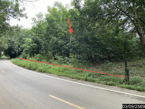 รูป ที่ดินว่างเปล่า 5860 ตร.วา เมืองบึงกาฬ บึงกาฬ 5.9M - รูปที่ 22/25
