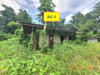 listing thumbnail image 37