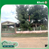 listing thumbnail image 48