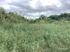 listing thumbnail image 22