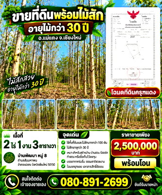 ที่ดิน แม่แตง เชียงใหม่ : ขายที่ดินพร้อมสัก ร้อยกว่าต้น อายุต้น 30 ปี+++