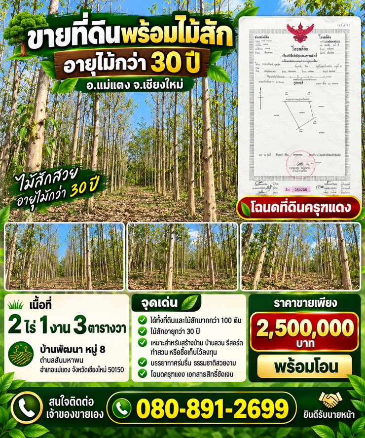 รูป ขายที่ดินพร้อมสัก ร้อยกว่าต้น อายุต้น 30 ปี+++ - รูปที่ 1/1