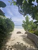 listing thumbnail image 14