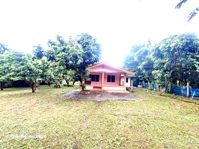 HOME 205 Sq.w. Phrao Chiang Mai for 1M