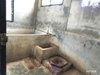 listing thumbnail image 28