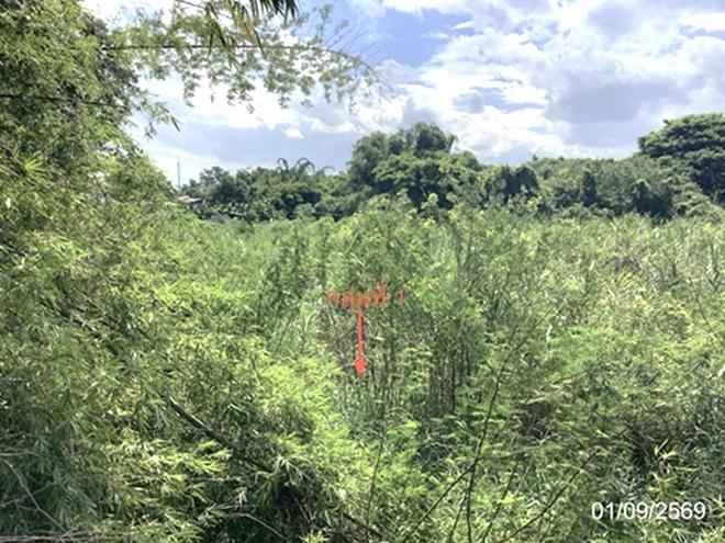 picture LAND 4686.2 Sq.w. Lat Yao Nakhon Sawan for 7M - 5/27