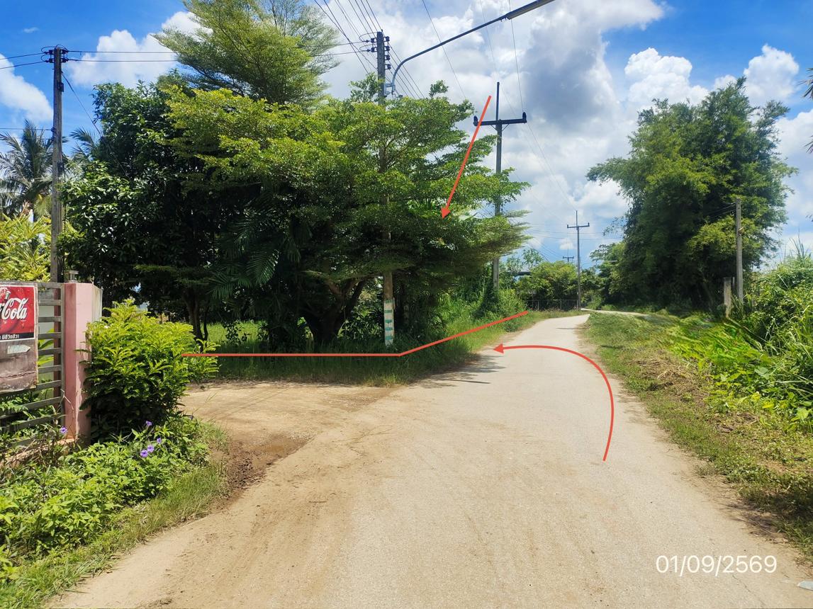 รูป ที่ดินว่างเปล่า 250 ตร.วา ฝาง เชียงใหม่ 1.6M - รูปที่ 16/21