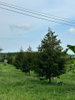 listing thumbnail image 10