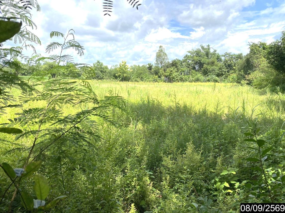 picture LAND 478 Sq.w. Sra Khrai Nongkai for 956,000 - 14/21