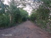 listing thumbnail image 38
