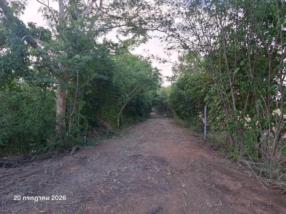 รูป โกดัง 5321 ตร.วา ตะพานหิน พิจิตร 13.4M - รูปที่ 39/43
