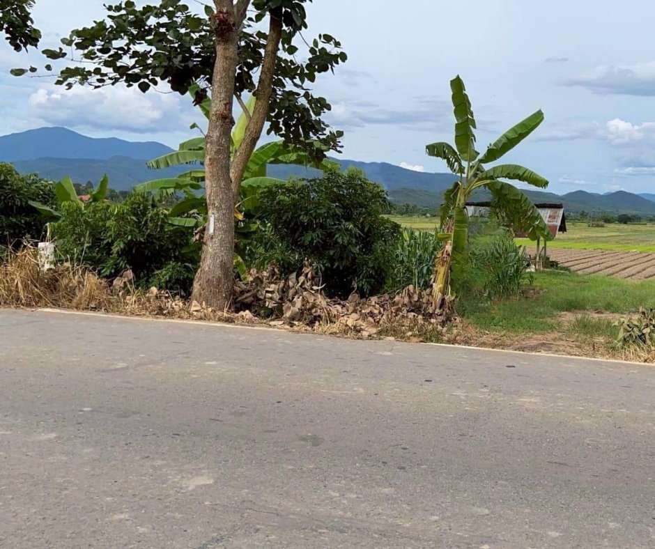 รูป 🌿 ขายที่ดินวิวเขา แม่แตง เชียงใหม่ ติดถนนคอนกรีต ใกล้วัดบ้านเด่นเพียง 2.5 กม. - รูปที่ 6/7