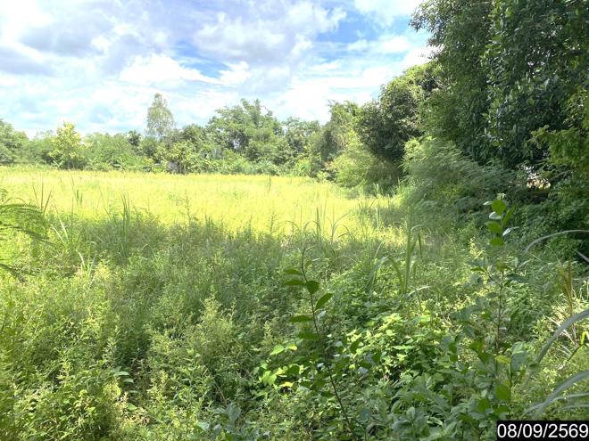 picture LAND 478 Sq.w. Sra Khrai Nongkai for 956,000 - 7/21