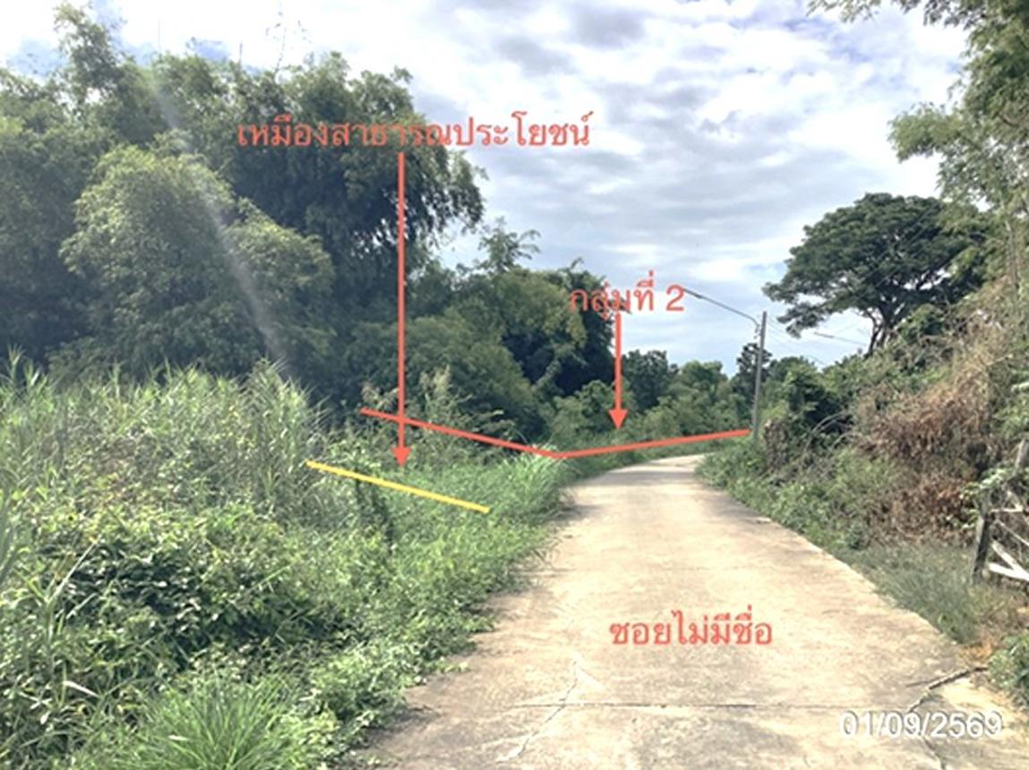 picture LAND 4686.2 Sq.w. Lat Yao Nakhon Sawan for 7M - 19/27