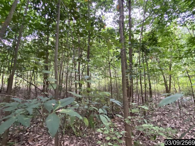 รูป ที่ดินว่างเปล่า 5860 ตร.วา เมืองบึงกาฬ บึงกาฬ 5.9M - รูปที่ 9/25
