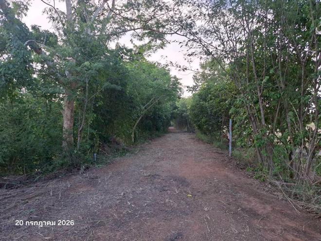 รูป โกดัง 5321 ตร.วา ตะพานหิน พิจิตร 13.4M - รูปที่ 20/43