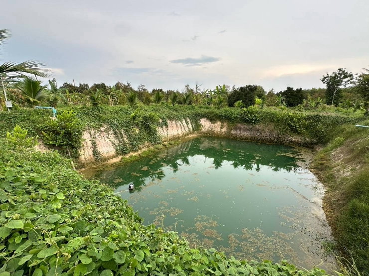 รูป ขายที่ดินระยอง ที่ดินแกลง 19 ไร่ สวนทุเรียน-มังคุด ใกล้สุขุมวิท ผ่อนตรงเจ้าของ น้ำไม่ท่วม - รูปที่ 10/11