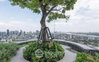listing thumbnail image 9