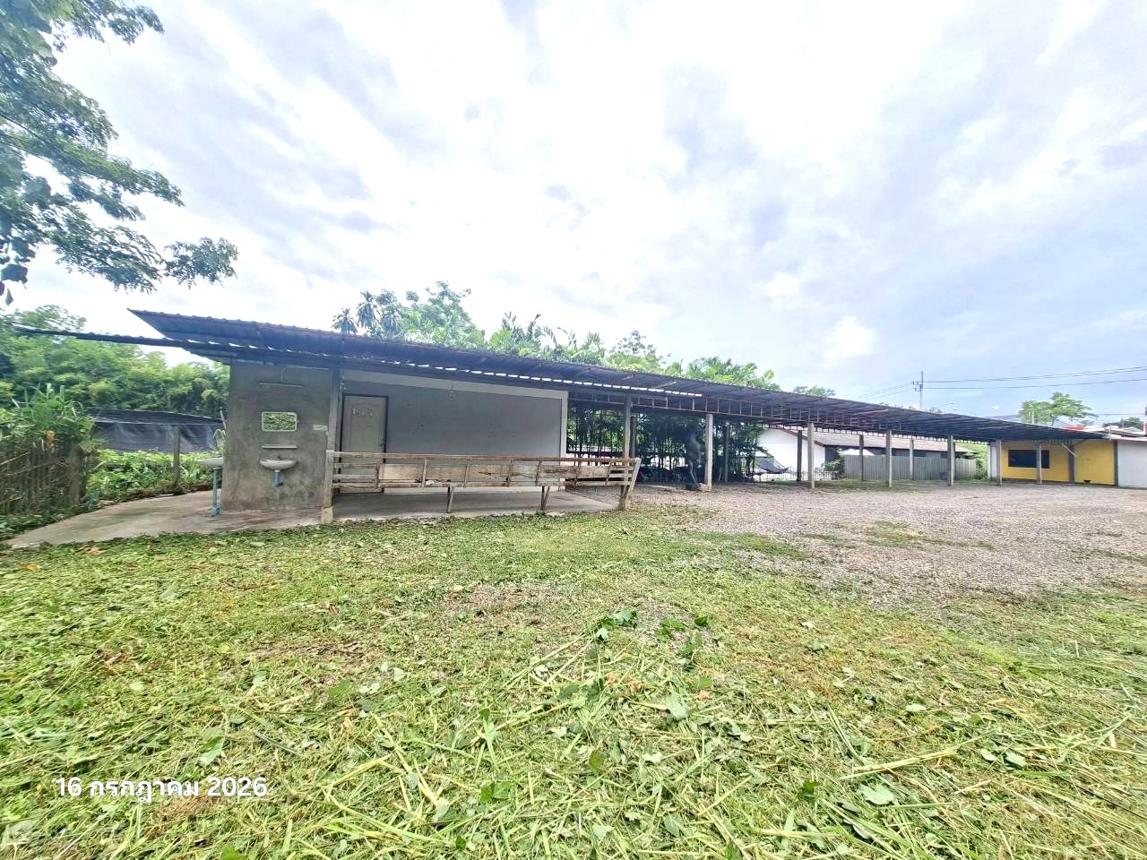 picture OFFICE 280 Sq.w. San Pa Tong Chiang Mai for 5.8M - 34/39