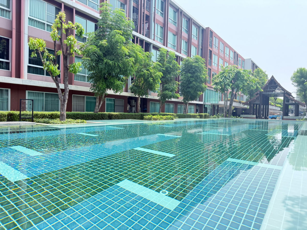 picture Urgent Sale !! : D'Vieng Santitham Condominium – Outside View - 14/16