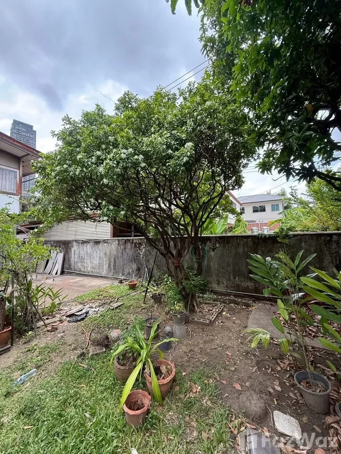 รูป บ้านเดี่ยวให้เช่า 2 ห้องนอน ใน คลองตันเหนือ, กรุงเทพมหานคร 6843217 - รูปที่ 9/11