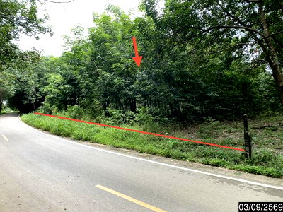 ที่ดินว่างเปล่า 5860 ตร.วา เมืองบึงกาฬ บึงกาฬ 5.8M
