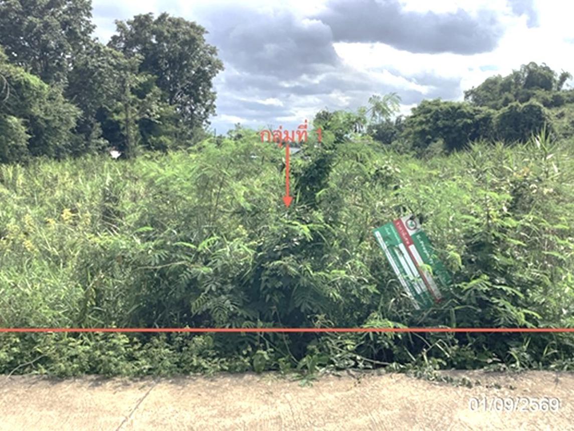 picture LAND 4686.2 Sq.w. Lat Yao Nakhon Sawan for 7M - 13/27