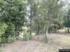 listing thumbnail image 24