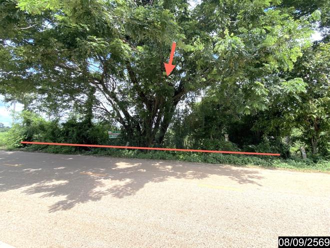 picture LAND 478 Sq.w. Sra Khrai Nongkai for 956,000 - 5/21
