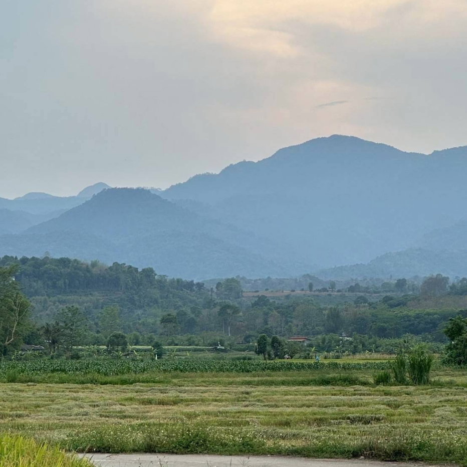 picture 🌿 Beautiful Mountain View Land for Sale in Fang, Chiang Mai 🍃 - 3/10