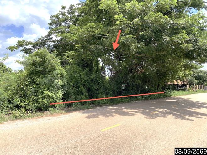 picture LAND 478 Sq.w. Sra Khrai Nongkai for 956,000 - 2/21