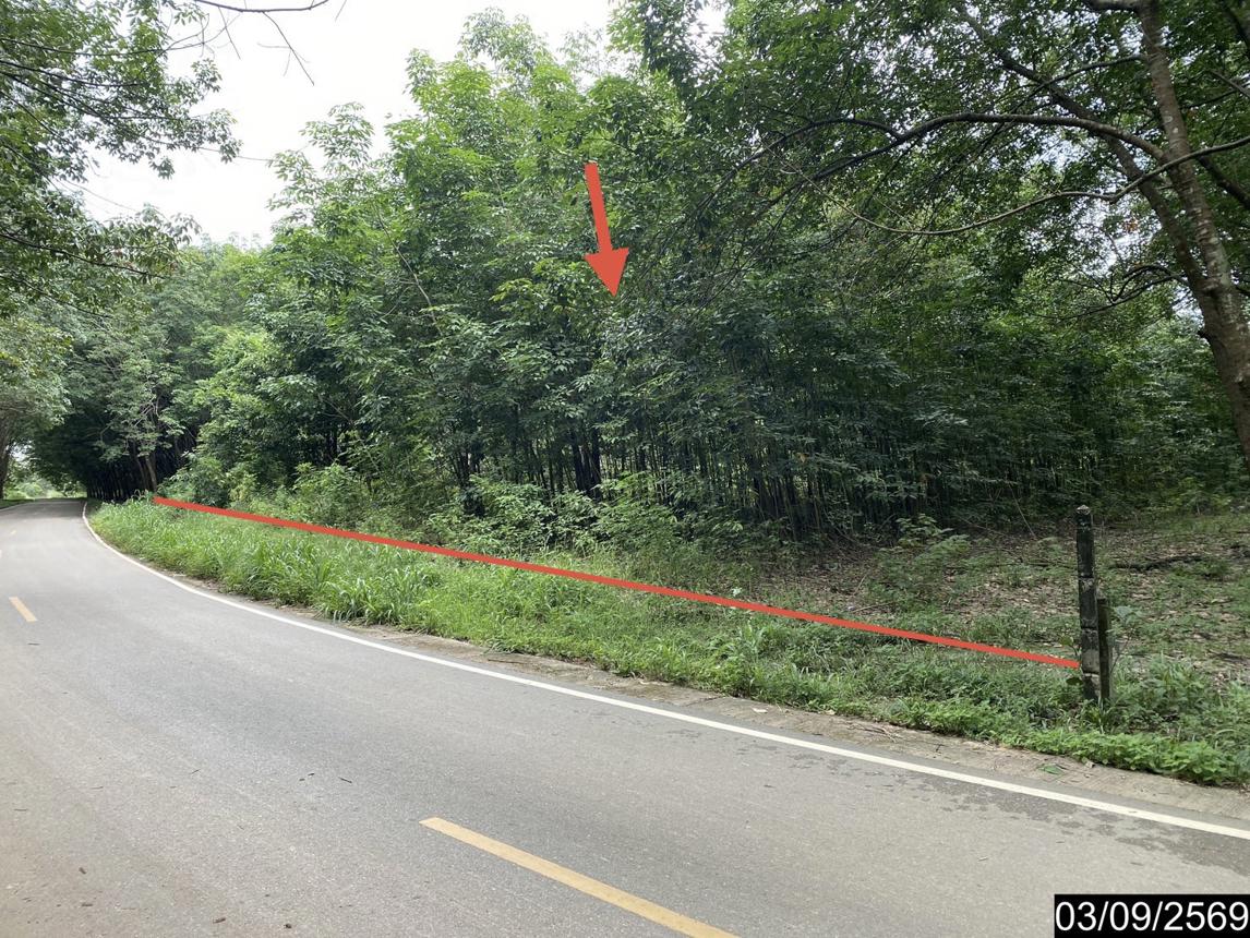 รูป ที่ดินว่างเปล่า 5860 ตร.วา เมืองบึงกาฬ บึงกาฬ 5.9M - รูปที่ 12/25