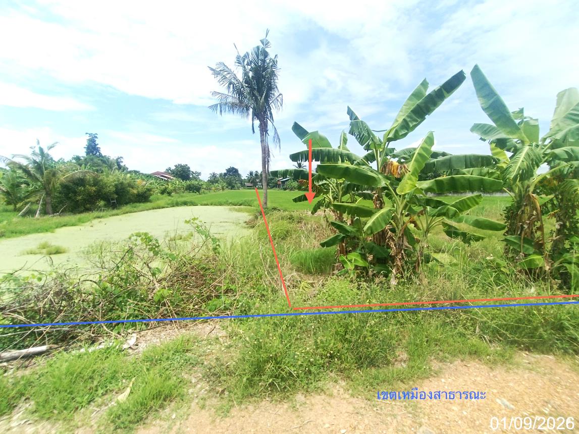 รูป ที่ดินว่างเปล่า 970 ตร.วา เมืองสุโขทัย สุโขทัย 1.9M - รูปที่ 12/21