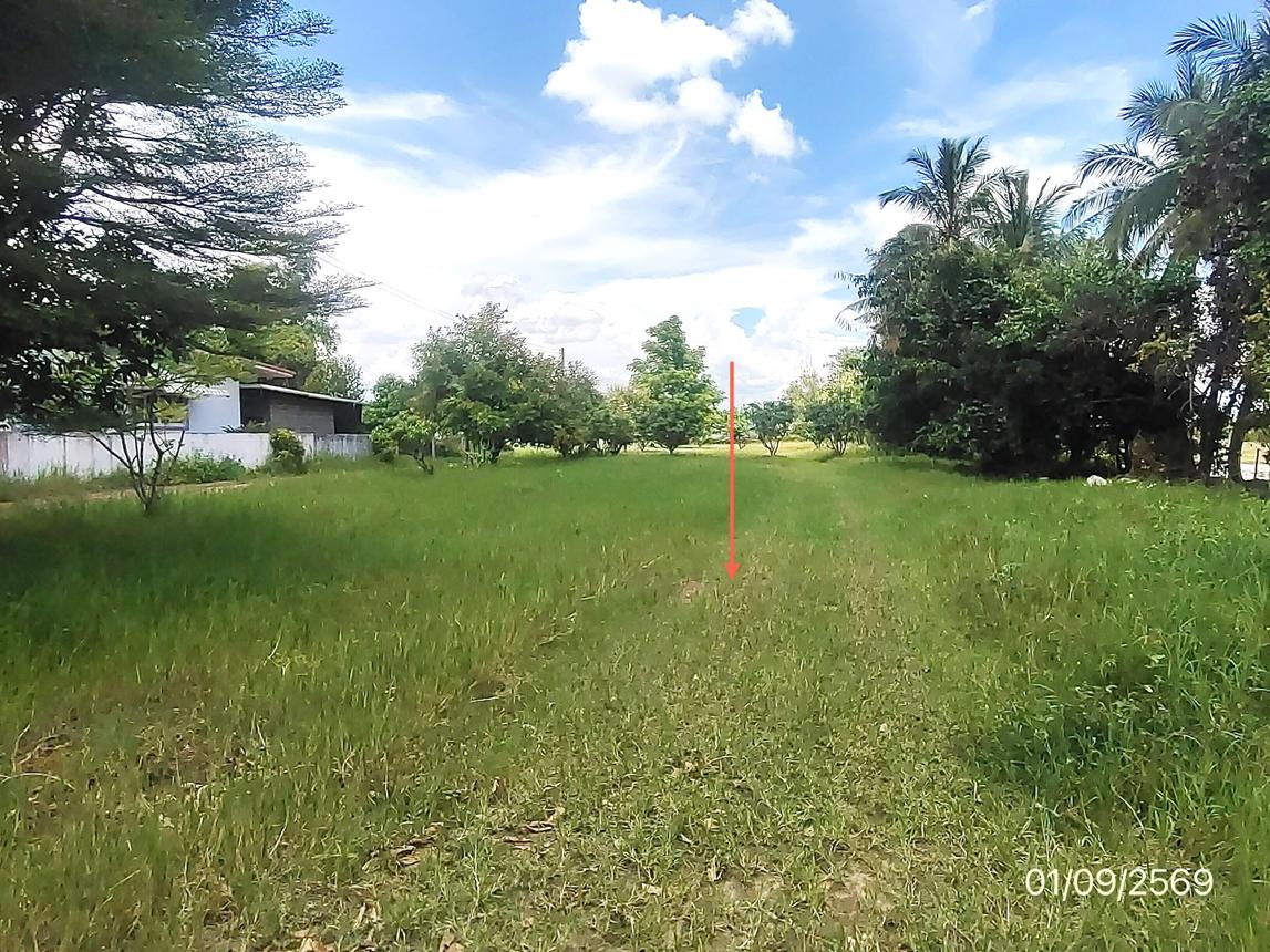 รูป ที่ดินว่างเปล่า 250 ตร.วา ฝาง เชียงใหม่ 1.6M - รูปที่ 11/21