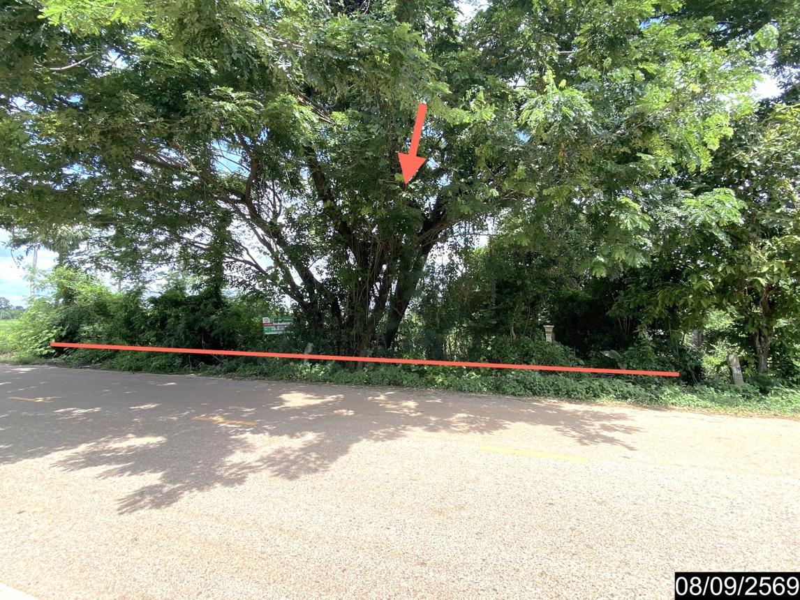 picture LAND 478 Sq.w. Sra Khrai Nongkai for 956,000 - 13/21