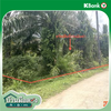 listing thumbnail image 12