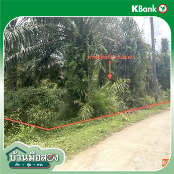 picture LAND 1323 Sq.w. Palian Trang for 1.3M - 13/15