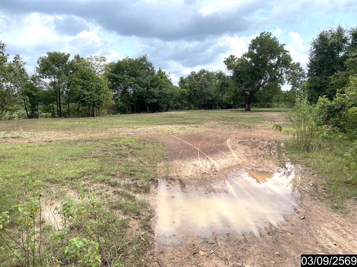 picture LAND 6586 Sq.w. Nongkai for 12.2M - 20/35