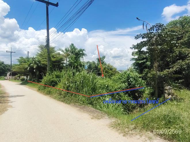 รูป ที่ดินว่างเปล่า 250 ตร.วา ฝาง เชียงใหม่ 1.6M - รูปที่ 5/21