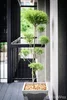 listing thumbnail image 23