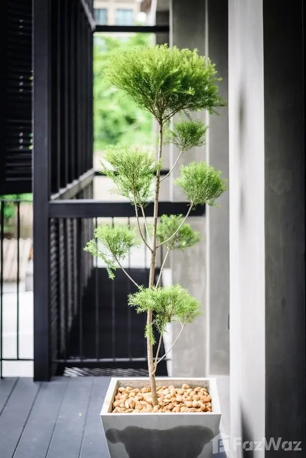 picture 3 Bedroom House for rent in Khlong Tan, Bangkok  6843118 - 24/24