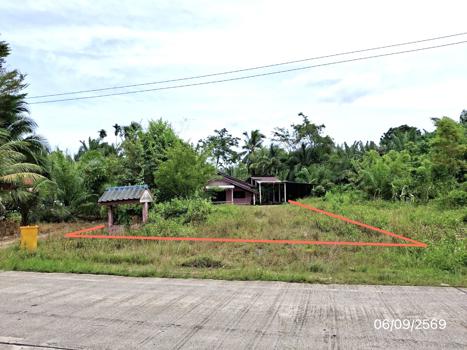 picture HOME 193 Sq.w. Chaiburi Surat Thani for 2.1M - 32/35