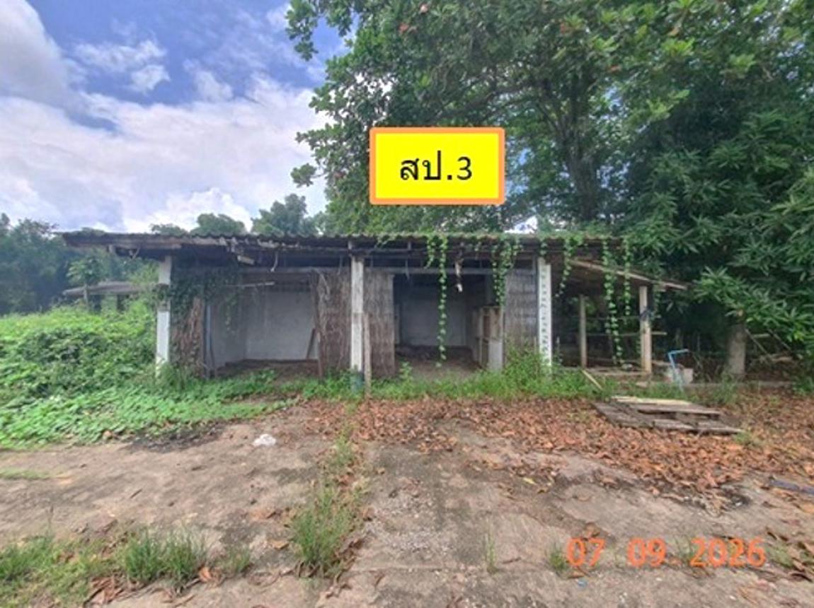 รูป อาคารสำนักงาน 4768 ตร.วา งาว ลำปาง 26.6M - รูปที่ 37/55