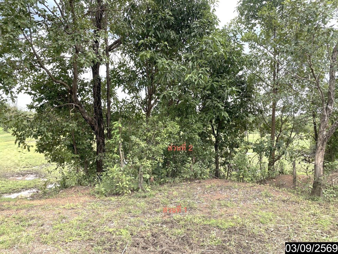 picture LAND 6586 Sq.w. Nongkai for 12.2M - 24/35