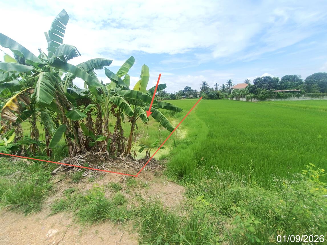รูป ที่ดินว่างเปล่า 970 ตร.วา เมืองสุโขทัย สุโขทัย 1.9M - รูปที่ 11/21