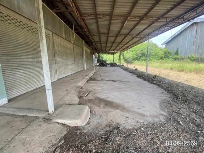 รูป โกดัง 1163.4 ตร.วา กันทรวิชัย มหาสารคาม 17M - รูปที่ 21/45