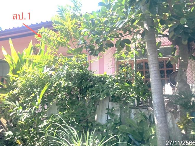 รูป บ้านเดี่ยว 156 ตร.วา โพธิ์ทอง อ่างทอง 1.8M - รูปที่ 1/17