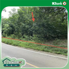 listing thumbnail image 22