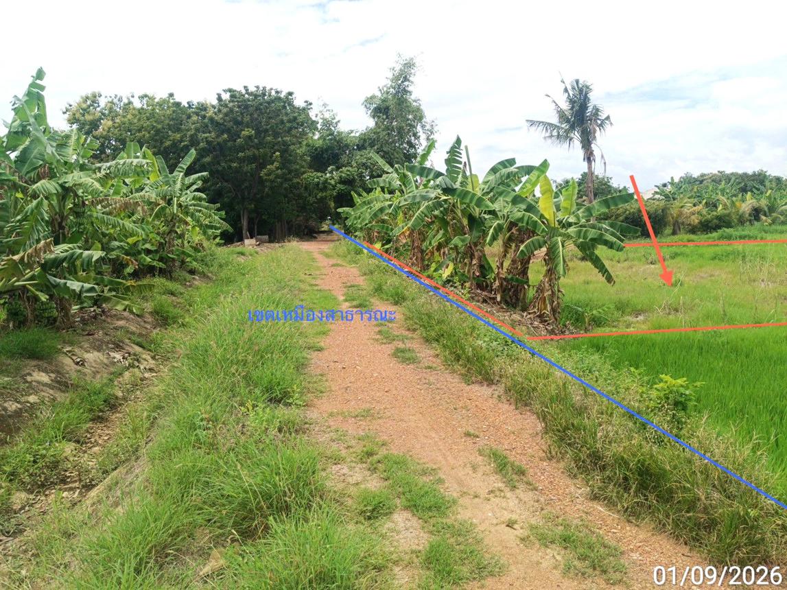 รูป ที่ดินว่างเปล่า 970 ตร.วา เมืองสุโขทัย สุโขทัย 1.9M - รูปที่ 15/21